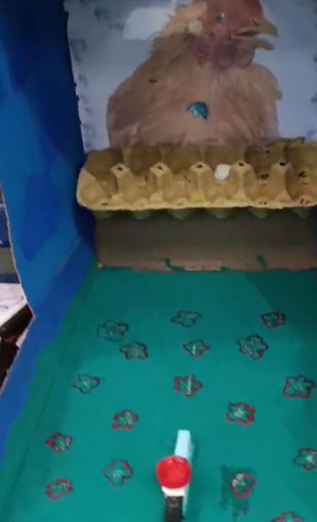 WhatsApp-Image-2025-10-29-at-16.27.41-622x1024 Educação Integral em Ação na EMEBTI Esperança %image